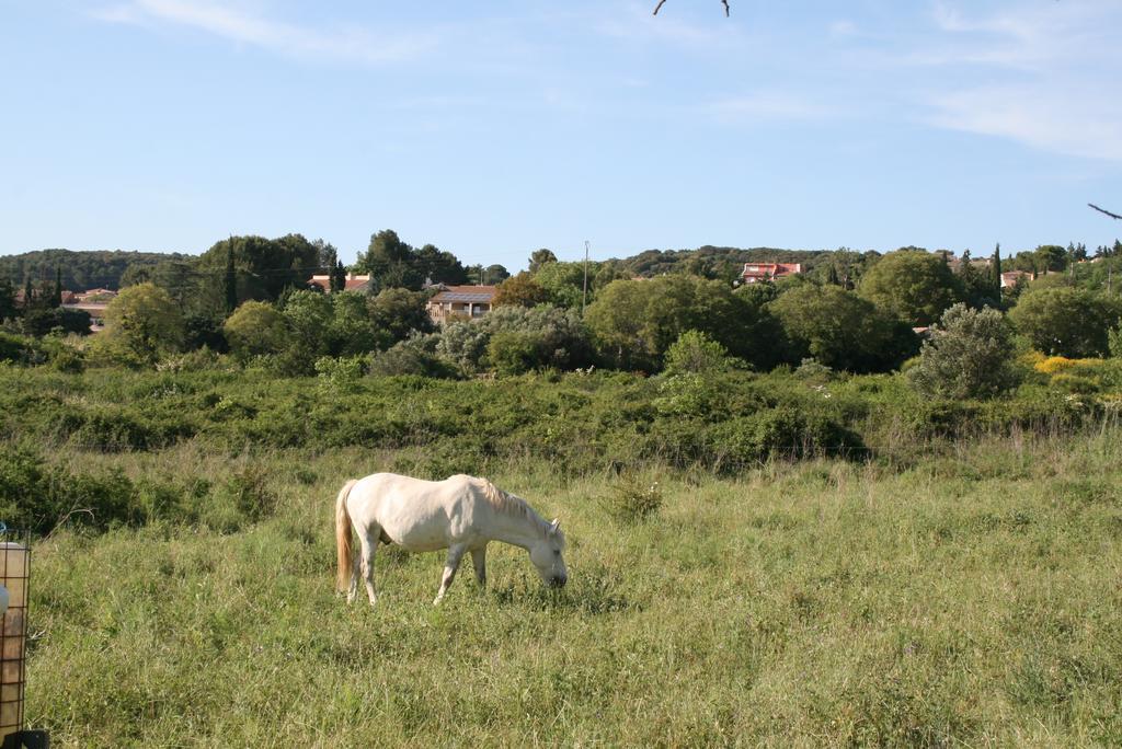 Mas Des Petits Loups Villa Cabrieres  Exterior photo